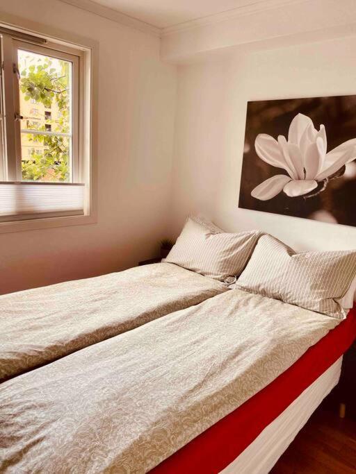 Bakklandets Perle 3-Roms Apartman Trondheim Kültér fotó